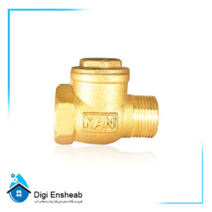Brass Male Swing Cheek valve Type C